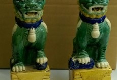 lions